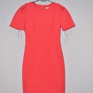 CALVIN KLIEN DRESS